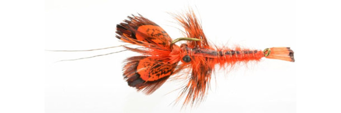 Crayfish