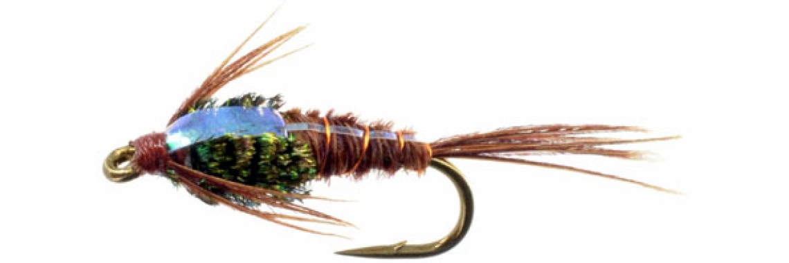 Pheasant Tail