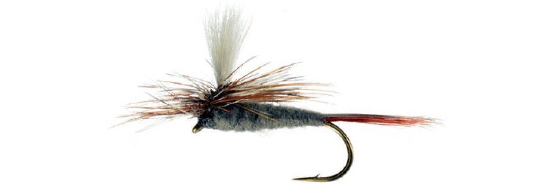 Adams parachute